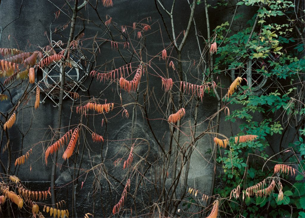 Laurenz Berges, Haus Assindia, 2009, framed, 124 x 175 cm, Ed. 5