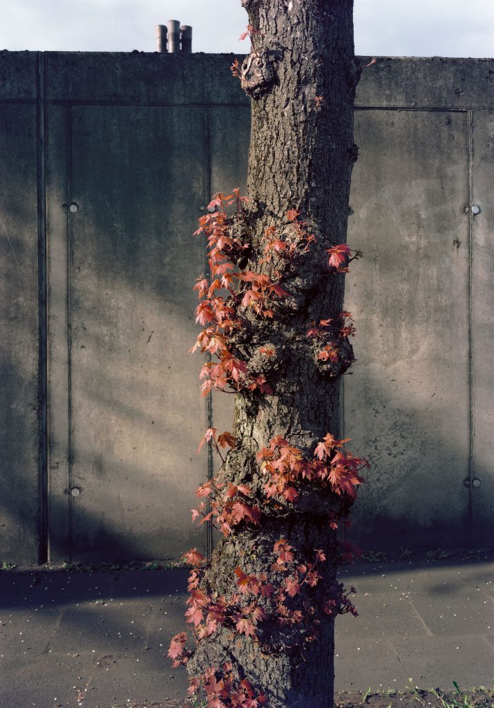 Laurenz Berges, Sympher Straße, 2017, 83 x 58 cm, framed, Ed. 7