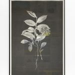 Silke Wagner, Humboldt II, 2023, Siebdruck auf Zeitungspapier, 69 x 100 cm, gerahmt, Unikat