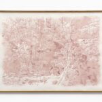 o.T. (Tyenna Forest) III, 2018/2022, Digitaldruck auf Papier, aquarelliert mit Tinte aus roten Nelkenblättern, 73 x 102 cm, gerahmt
