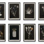 Installation view SILKE WAGNER - SOMEDAY IS NOW Galerie Wilma Tolksdorf