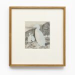 Riesenalk (Pinguinus impennis), 2022, Siebdruck auf Holzstich von 1891, 31 x 29 cm, gerahmt
Ausgestorben / Extinct