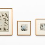 Installation view SILKE WAGNER - SOMEDAY IS NOW Galerie Wilma Tolksdorf