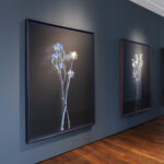 Installation view Arp Museum, Axel Hütte, Stille Weiten/silent spaces, photo: David Ertl