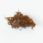 Untitled, # 12-25, 2025, Metal, 10 x 17 x 8 cm